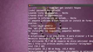 ELIMINAR ARCHIVOS DUPLICADOS CON FSLINT UBUNTU [upl. by Dunaville]