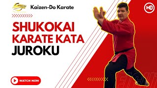 Shukokai Karate Kata  Juroku [upl. by Arraeic745]