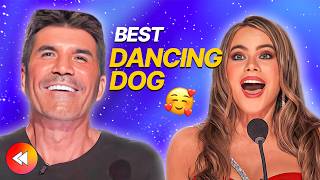 UNBELIEVABLE Dancing Dogs On Got Talent 🐶🥹 [upl. by Linskey735]