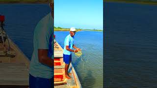 Village amzaing net fishingshortsfeed ytshorts fishingshorts odiafishing odiavlog [upl. by Eveineg949]