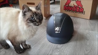 Unboxing my new Samshield riding helmet 😍 With my cat Sissy Friesian Horses [upl. by Augy]