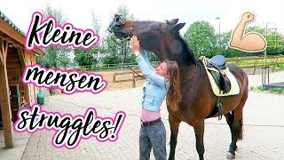 Op een groot paard met neckrope springen  felinehoi VLOG 114 [upl. by Novart186]