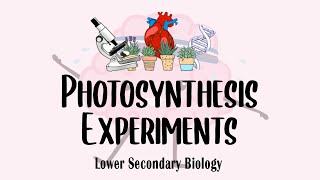 Lower Sec IP Bio Photosynthesis  Photosynthesis Experiments [upl. by Surad280]