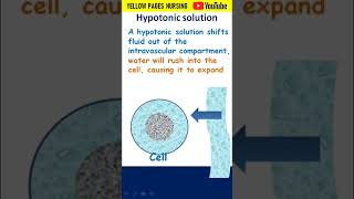 Hypotonic solution  045 Sodium Chloride 045 NaCl [upl. by Niwdla942]