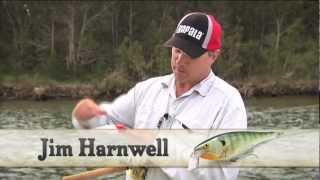 How to use Rapala Super Shad Rap [upl. by Peer]