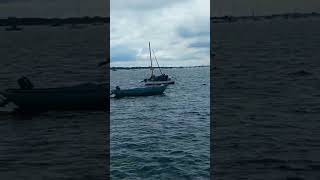 ALL AT SEA EMSWORTH HAMPSHIRE sea water boats [upl. by Zetnom]