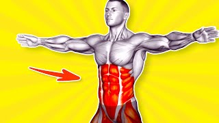 ➜ 12Min Stomach Fat Burning Workout At Home [upl. by Gula]