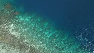 Cebu island coral reef in the clear blue waters of the philippines aerial view FREE STOCK VIDEO [upl. by Lindly646]