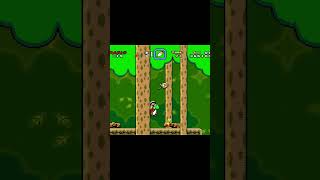 Forest of Illusion Super Mario World  nintendo supermario retrogaming [upl. by Torie772]