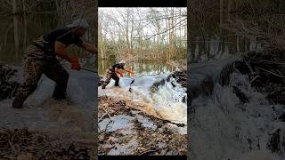 Extreme Water Flow  Beaver Dam Removal shorts beaverdam [upl. by Eioj]