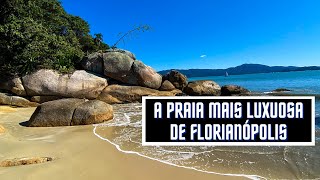 PRAIA DE JURERÊ INTERNACIONAL  FLORIANÓPOLIS  SC [upl. by Ynnav]