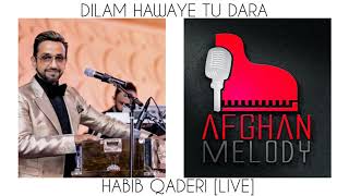 Habib Qaderi  Dilam Hawaye Tu Dara LIVE [upl. by Jew]