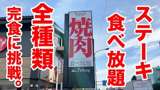 【超コスパ】ステーキ食べ放題で全種類制覇に挑戦！！ [upl. by Sonia]