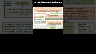 Acute Mesentric Ischemia biology clinicalcase medicalfield science medicalspecialty icu [upl. by Chilt125]