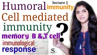 Immune response  Humoral and cell mediated immunity  innate and adaptive immunity  memory cell [upl. by Mil]