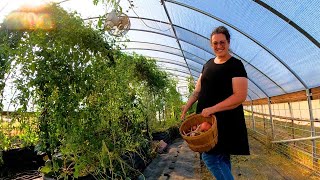 Preparing The Greenhouse for FALL Planting  Garden Work amp Farm Life VLOG [upl. by Elleinod]