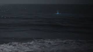 Bioluminescence in Newport Beach [upl. by Sosthina544]