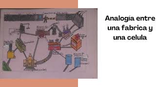 Analogía de la célula con una fabrica [upl. by Willett829]