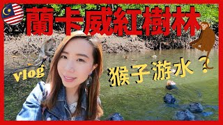 【Travel Vlog】 Malaysia Langkawi Travel Bubble Mangrove Tour紅樹林看游水猴子🐒餵鷹🦅遊船河🚣🏻‍♂️馬來西亞🇲🇾蘭卡威浮羅交怡旅遊泡泡旅遊景點 [upl. by Ocsisnarf]