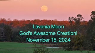 Lavonia Super Beaver Moon Gods Awesome Creation [upl. by Oflunra]