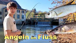 Angeln am Fluss im Herbst  Fischen mit verschiedenen Ködern und Montagen [upl. by Crichton]