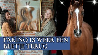 Het grote Parino project is af  PaardenpraatTV [upl. by Nitsirc]