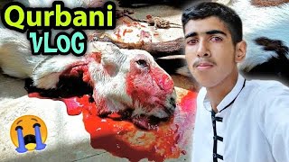 Bakra Eid Vlog 2022 🔥 Qurbani Vlog 😎 Ibrahim Asim Vlogs [upl. by Anagnos432]