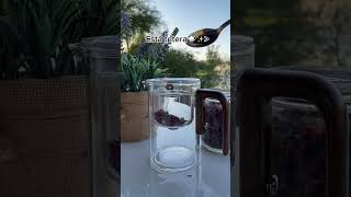 La mejor tetera teapot relaxing viralvideo trendingshorts [upl. by Kcirdez]