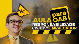 Responsabilidade Civil do empregador [upl. by Eelinej]