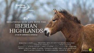 Breathing New Life Into The Iberian Highlands  Documentary by Emmanuel Rondeau  Rewilding Spain [upl. by Enyedy]