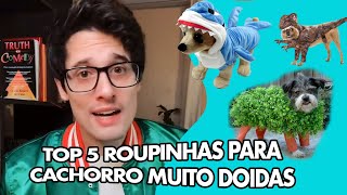 TOP 5 ROUPINHAS PARA CACHORRO MUITO DOIDAS  CANAL DO CLEPTON [upl. by Oruam]