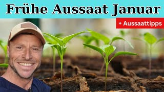 11 Aussaaten im Januar 🌱 Sortenangaben  Anzuchttipps [upl. by Yromem122]