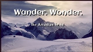 Wander Wonder — The Arcadian Wild Lyrics [upl. by Pilif]