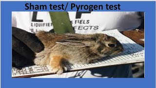 Pyrogen test  sham test  rabbit test  test for detecion of in a pharmaceutical product [upl. by Nova]