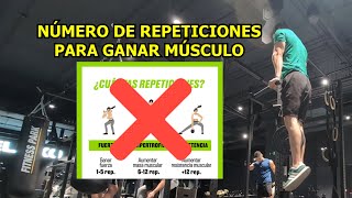 NÚMERO DE REPETICIONES ÓPTIMO PARA HIPERTROFIA Entrenamiento 17 Y 18 [upl. by Ubald]