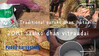 A Day Of Harvesting Paddy With Family  Dhaan katne Ra jhaatne vlog😁❤️💚 [upl. by Leibman]