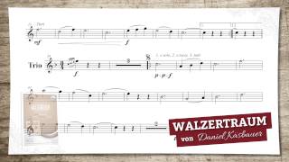 Walzertraum Walzer [upl. by Aniv748]