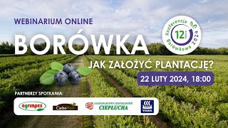 BORÓWKA🫐  Jak założyć plantację  Webinarium online [upl. by Anni]