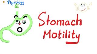 The Stomach  Gastric motility amp Receptive relaxation  Gastrointestinal GI Physiology Series [upl. by Stalder]