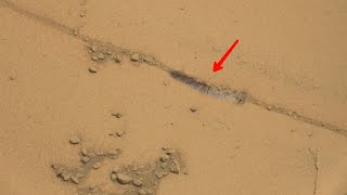 Perseverance Rover Captured a New Video Footage of Mars  New Mars Video [upl. by Darrey]