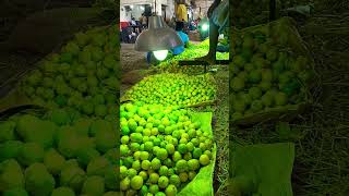 Koyambedu lemon market chennai viralvideo please subscribers [upl. by Lexis]