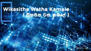 Shashi vs Maneesha Wikasitha Watha Kamale විකසිත වත කමලේ Battle Rounds The Voice Sri Lanka [upl. by Aihsile]