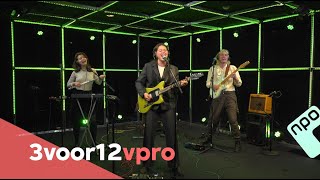 Albertine Sarges  Live at 3voor12 Radio [upl. by Derayne]