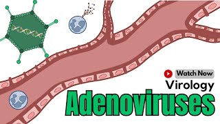 Adenovirus Explained Infections Transmission and Prevention  Virology [upl. by Nanahs]