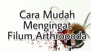 Cara Mudah Mengingat Filum Arthropoda [upl. by Rania753]