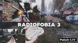 Пасмурный день Радиофобия 3 патч 117 сталкер radiofobia [upl. by Timrek]