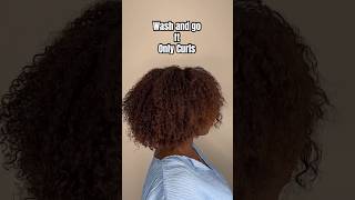 Wash and go on Type 4 hair using Only Curls [upl. by Agarhs]