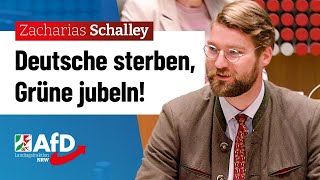 Deutsche sterben Grüne jubeln – Zacharias Schalley AfD [upl. by Peadar]