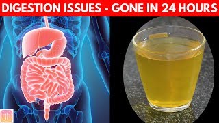 10 Ways to Improve Digestive System  Get INSTANT Boost Naturally [upl. by Middleton]