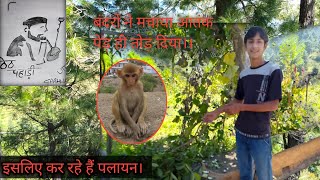 इसीलिए हो रहे हैं पलायन। बंदरों ने मचाया आतंक।। pahadilifestyle uttarakhand viralvideo vlog [upl. by Land]